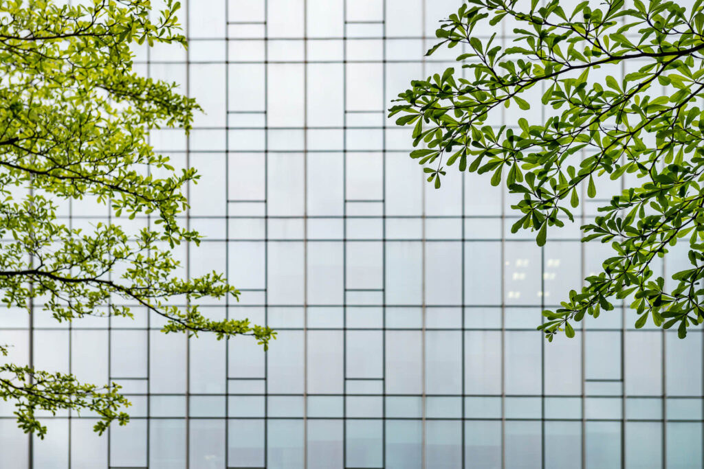 Lorem ipsum dolor sit amet consectetur adipisicing elit